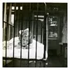 Betty In Isolation