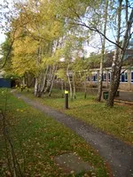2010 Ward 5 Rear