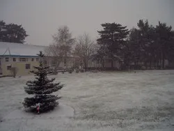 2010 December Snow Scenes Ward 3