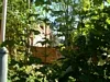 View through the trees of the gardens